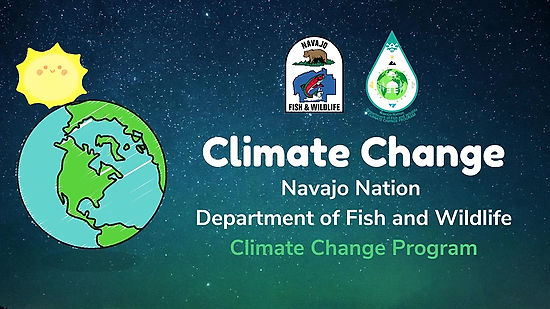 K - 3rd Grade Climate Change Short Video